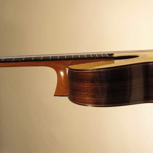 guitar profile